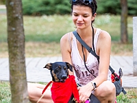 Adoptuj Warszawiaka  Wydarzenie promujące adopcję zwierząt. Organizator: Schronisko dla Bezdomnych Zwierząt "Na Paluchu". 18 sierpnia 2019, Park Raszyński w Raszynie. : park raszyński, adoptuj warszawiaka, na paluchu, schronisko dla zwierząt, centrum warszawy, raszyn